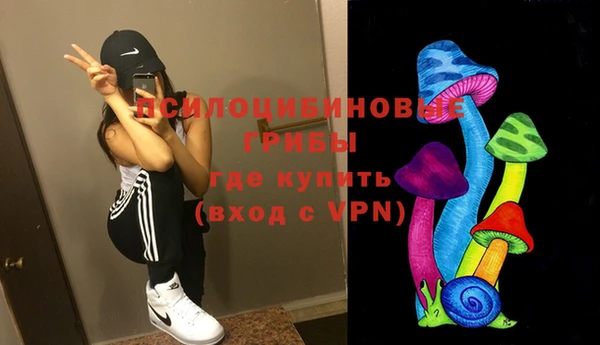 гидра Сосновоборск
