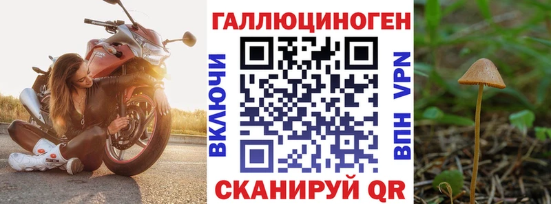 OMG сайт  Краснокаменск  Псилоцибиновые грибы прущие грибы 
