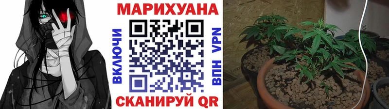KRAKEN рабочий сайт  Краснокаменск  Шишки марихуана VHQ 
